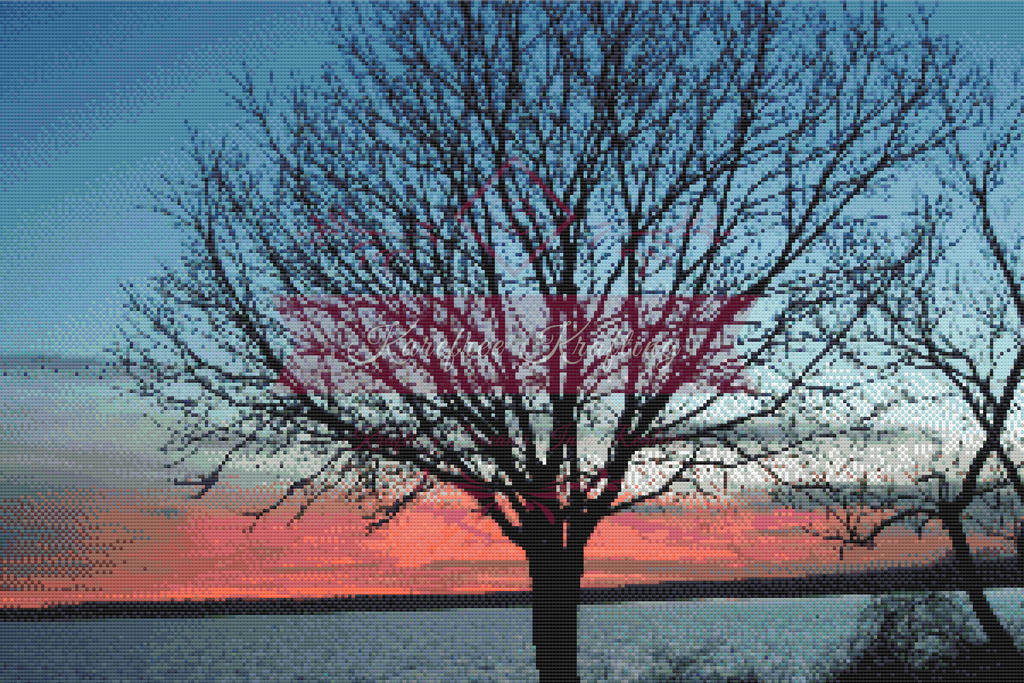 Trees at Sunset